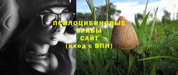 индика Тобольск
