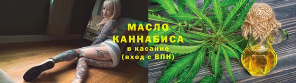 индика Тобольск