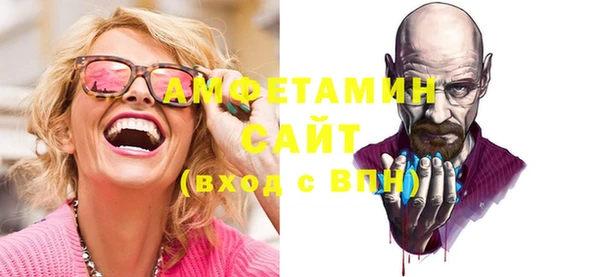 индика Тобольск