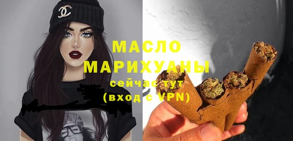 индика Тобольск
