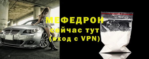 индика Тобольск