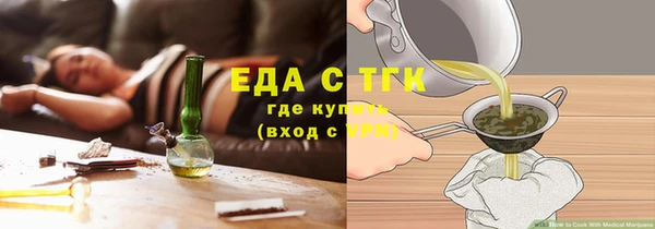 индика Тобольск