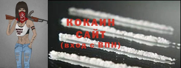 индика Тобольск