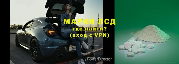 индика Тобольск