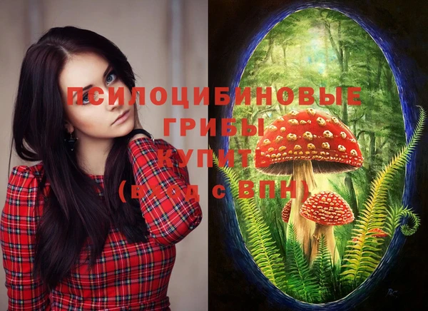 спайс Тихорецк