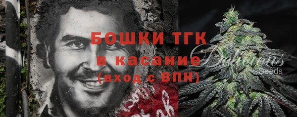 индика Тобольск