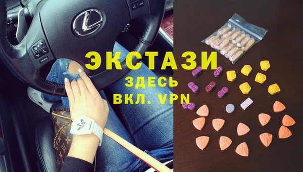 индика Тобольск