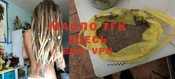 индика Тобольск