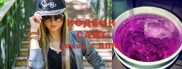 индика Тобольск