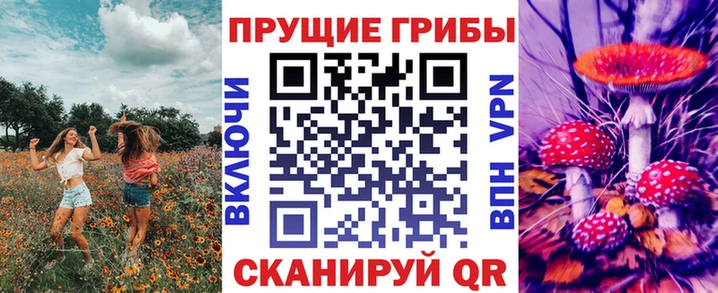 Псилоцибиновые грибы GOLDEN TEACHER Алагир